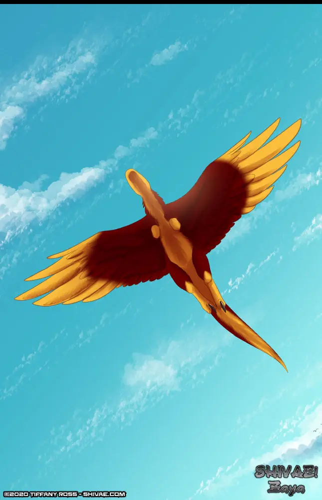 2020-02-02-Zaya-02